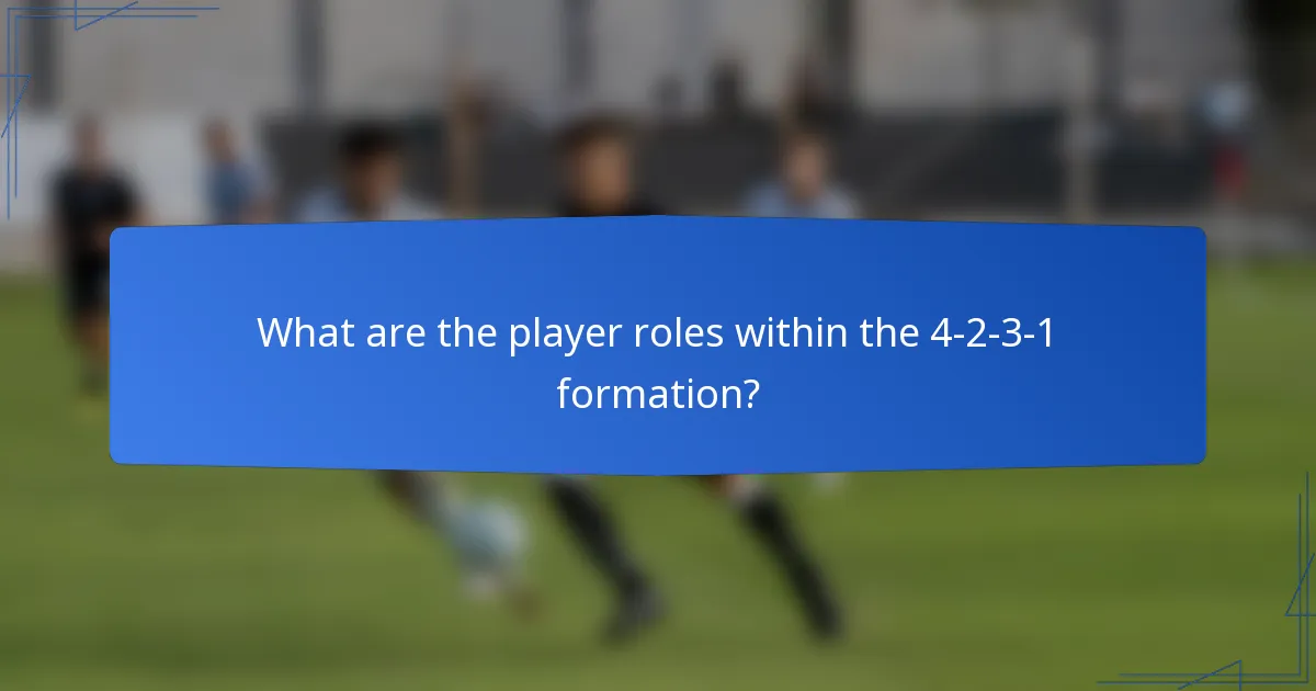 What are the player roles within the 4-2-3-1 formation?